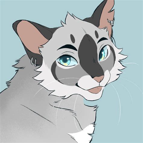 cat drawing warrior cats